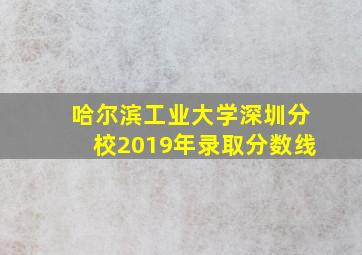 哈尔滨工业大学深圳分校2019年录取分数线