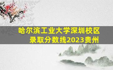 哈尔滨工业大学深圳校区录取分数线2023贵州