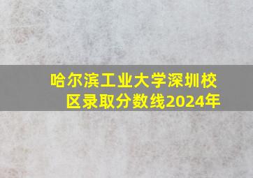 哈尔滨工业大学深圳校区录取分数线2024年