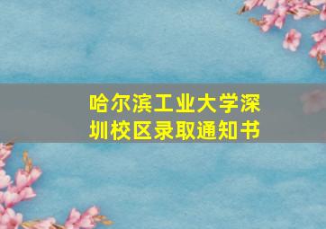 哈尔滨工业大学深圳校区录取通知书