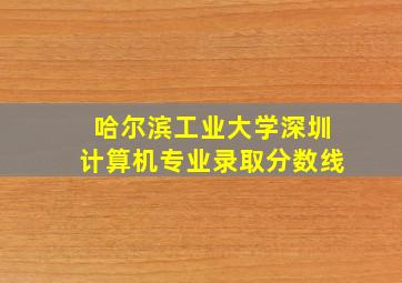 哈尔滨工业大学深圳计算机专业录取分数线