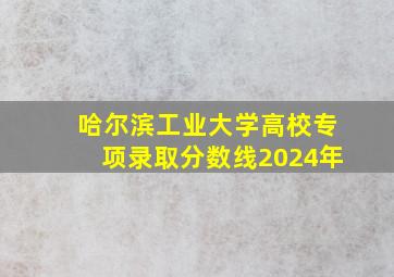 哈尔滨工业大学高校专项录取分数线2024年