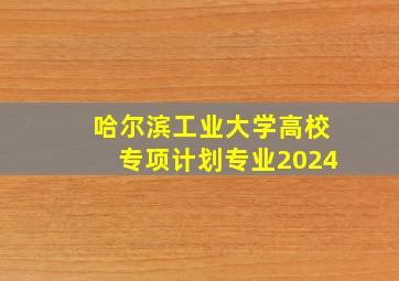 哈尔滨工业大学高校专项计划专业2024