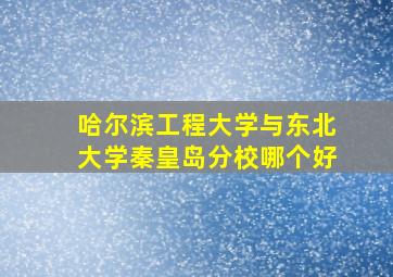 哈尔滨工程大学与东北大学秦皇岛分校哪个好