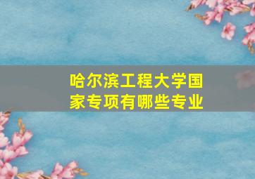 哈尔滨工程大学国家专项有哪些专业