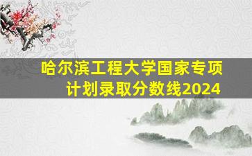 哈尔滨工程大学国家专项计划录取分数线2024