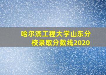 哈尔滨工程大学山东分校录取分数线2020