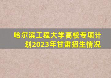 哈尔滨工程大学高校专项计划2023年甘肃招生情况