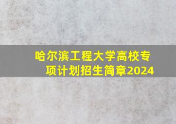 哈尔滨工程大学高校专项计划招生简章2024