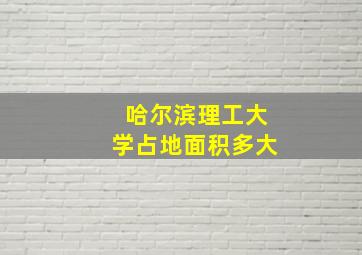 哈尔滨理工大学占地面积多大