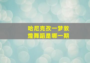 哈尼克孜一梦敦煌舞蹈是哪一期