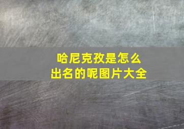 哈尼克孜是怎么出名的呢图片大全