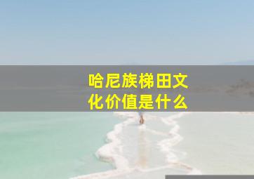 哈尼族梯田文化价值是什么