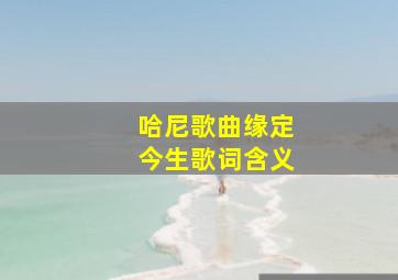 哈尼歌曲缘定今生歌词含义