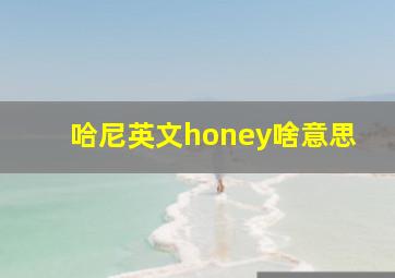 哈尼英文honey啥意思