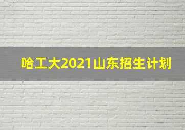 哈工大2021山东招生计划