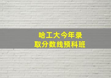 哈工大今年录取分数线预科班