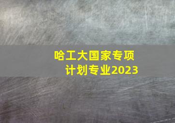 哈工大国家专项计划专业2023