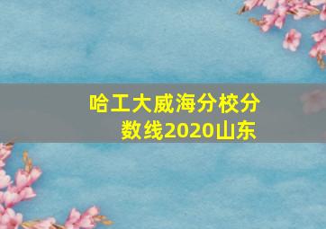 哈工大威海分校分数线2020山东