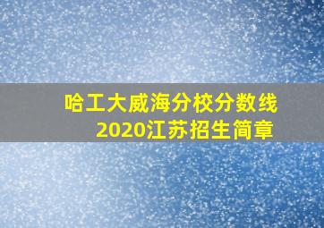 哈工大威海分校分数线2020江苏招生简章