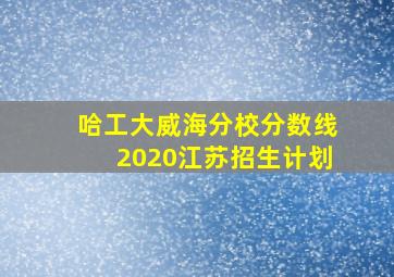 哈工大威海分校分数线2020江苏招生计划