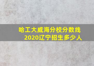 哈工大威海分校分数线2020辽宁招生多少人