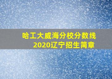 哈工大威海分校分数线2020辽宁招生简章