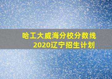 哈工大威海分校分数线2020辽宁招生计划