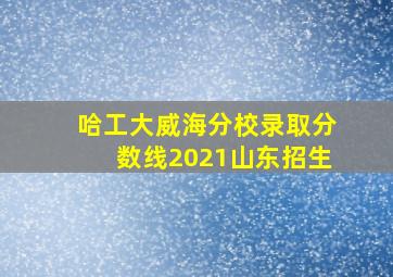 哈工大威海分校录取分数线2021山东招生