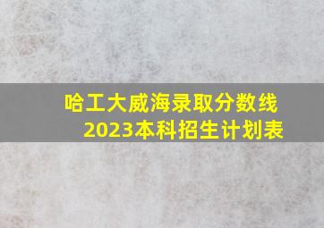 哈工大威海录取分数线2023本科招生计划表