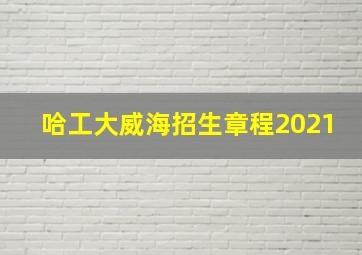 哈工大威海招生章程2021