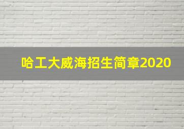 哈工大威海招生简章2020