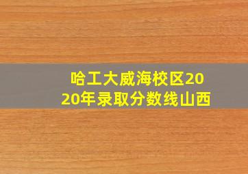 哈工大威海校区2020年录取分数线山西