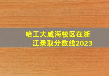 哈工大威海校区在浙江录取分数线2023