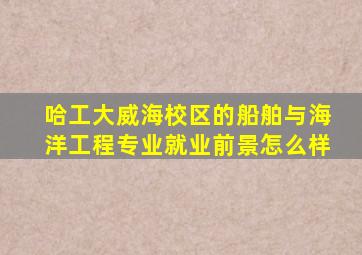 哈工大威海校区的船舶与海洋工程专业就业前景怎么样