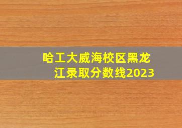 哈工大威海校区黑龙江录取分数线2023