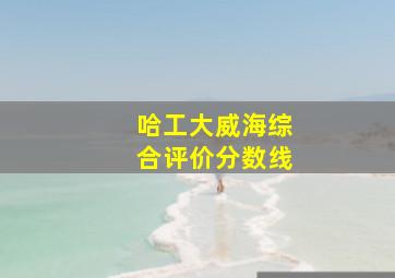 哈工大威海综合评价分数线