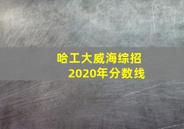 哈工大威海综招2020年分数线