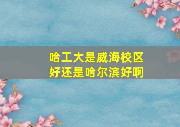 哈工大是威海校区好还是哈尔滨好啊