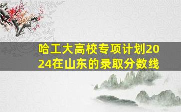 哈工大高校专项计划2024在山东的录取分数线