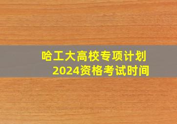 哈工大高校专项计划2024资格考试时间