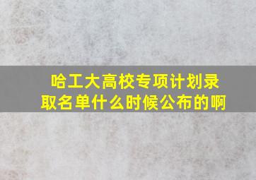 哈工大高校专项计划录取名单什么时候公布的啊