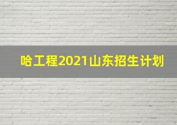 哈工程2021山东招生计划