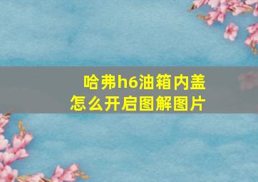 哈弗h6油箱内盖怎么开启图解图片