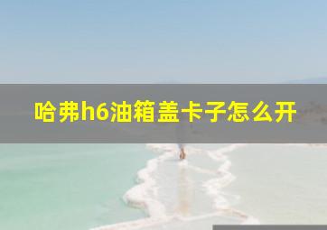 哈弗h6油箱盖卡子怎么开