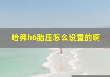 哈弗h6胎压怎么设置的啊