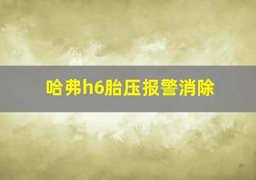 哈弗h6胎压报警消除