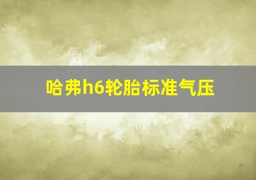 哈弗h6轮胎标准气压