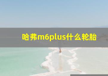 哈弗m6plus什么轮胎