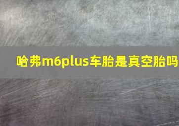 哈弗m6plus车胎是真空胎吗